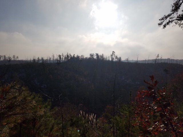 2019 Red River Gorge